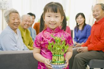 12 Good Luck Gift Ideas to Make Everyone Feel Fortunate 